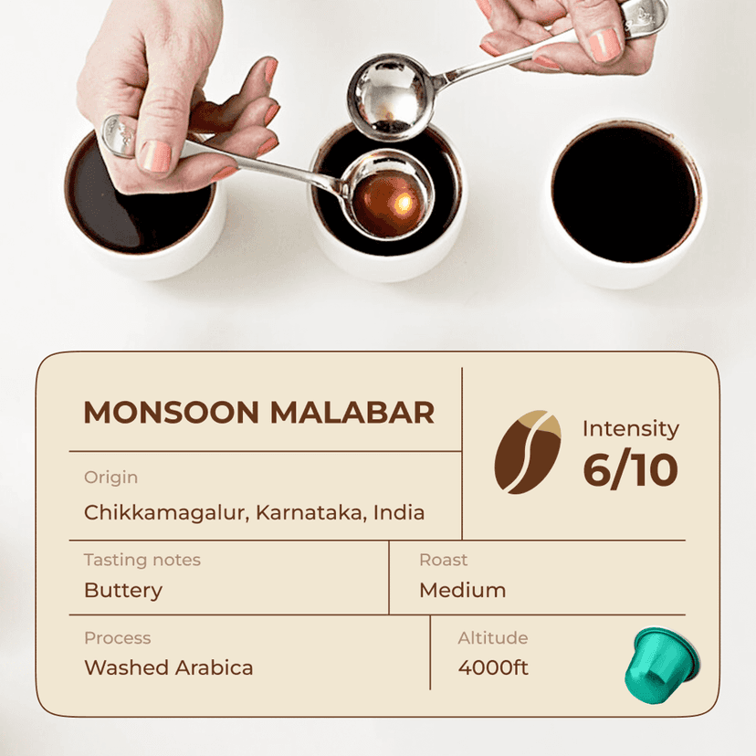 Monsoon Malabar Espresso Pods - Intensity 6/10 | Nespresso Compatible | Light/Cinnamon Roast | AA+ Grade Beans | Premium Aluminum Capsules view 3