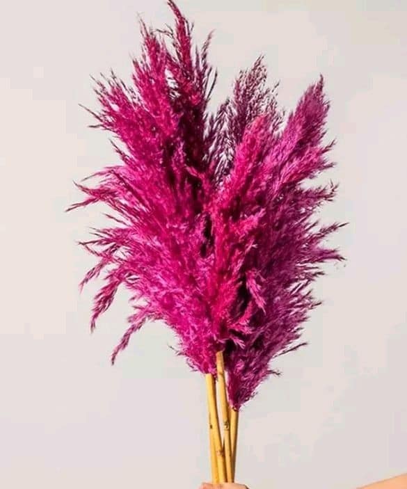 Artificial Dry Flowers 10 Sitck Home Decorartificial Dry Flowers view 2