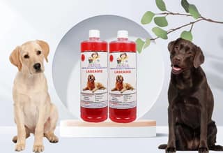 Swacch Shampoo Specially Formulated for Labrador (1 Litre) (Pack of 2) Strawberry