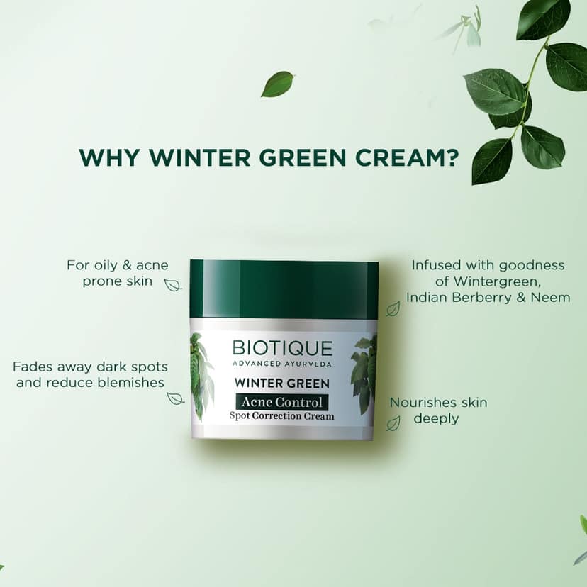 Biotique Winter Green Acne Control Spot Correction Cream 15g