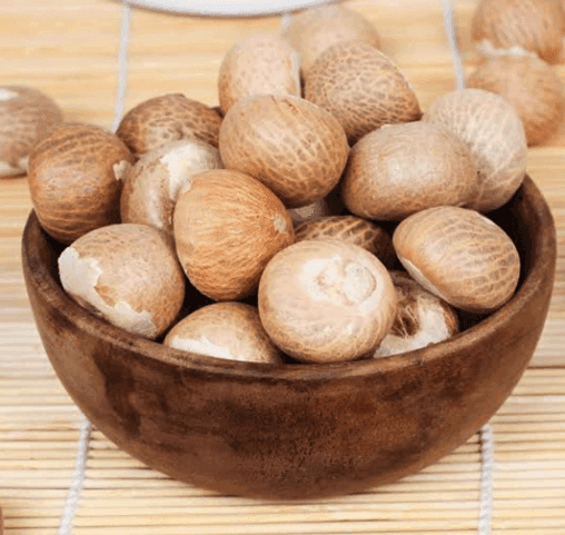 Dry Areca Nut view 4