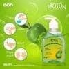 Froton Handwash Gold ,Aloevera,Rose,Green Apple 250ml Pack of 4 view 4