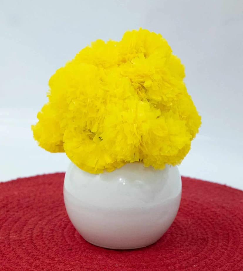Elegant White Round Small Ceramic Pot view 2