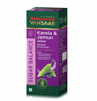 Baidyanath Vansaar Karela & Jamun Juice 1 Ltr
