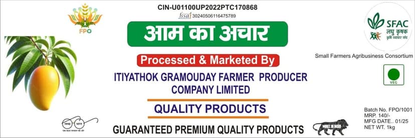 Premium Aam Ka Achar (Mango Pickle) - view 4