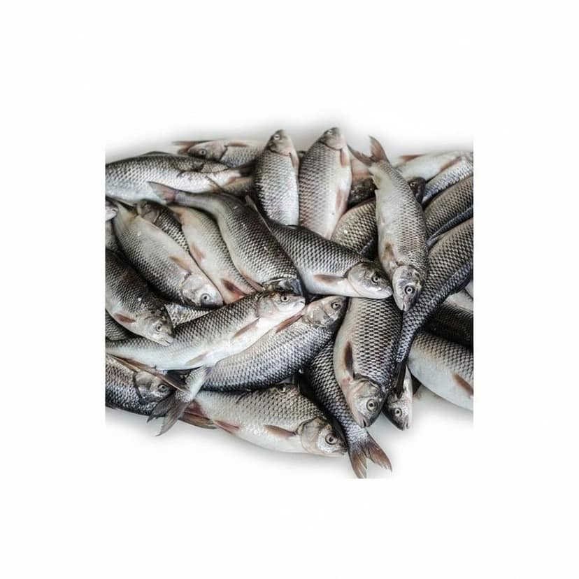 Fresh Raw Fish - 50 kg - One bulk pack view 3