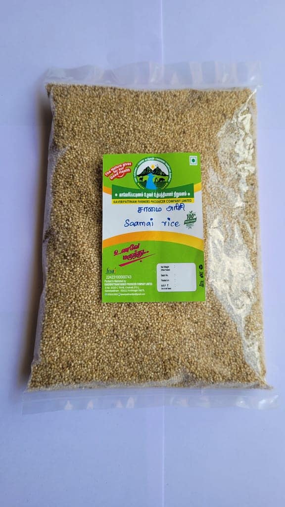Little Millet (Saamai Rice)