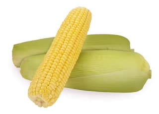Sweet Corn 1 Pack