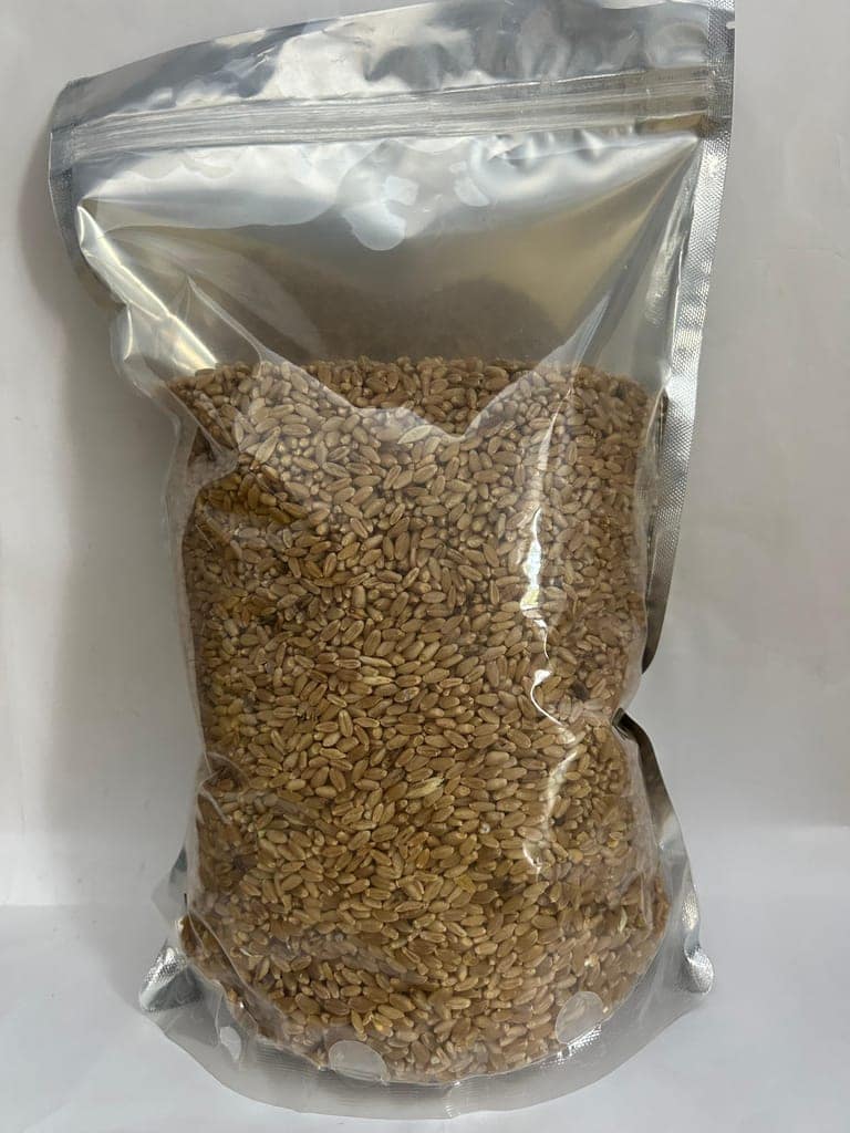 Wheat grains - 1Kg view 4