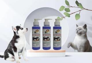 SWACCH Premium Shampoo for PET Shampoo (200ML) (Pack of 3) Lavender