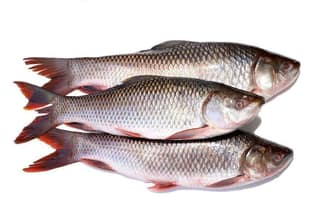 AS Fakruddin - 1 kg