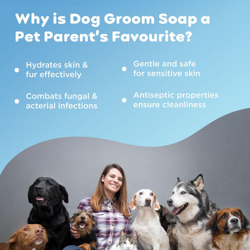 Dog Groom Soap view 2