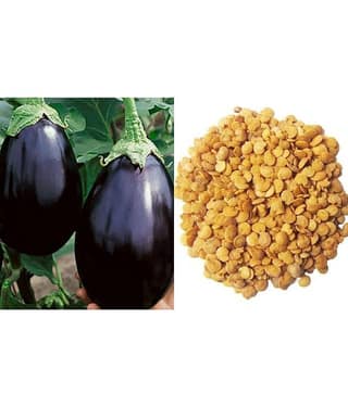 Brinjal - Egg Plant Seeds | Pack of 150 Seeds