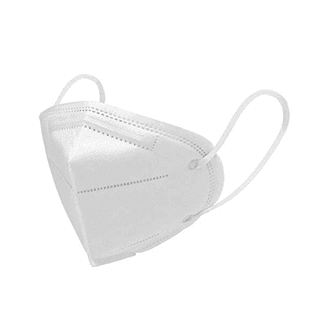 Dominion Care N95 Mask White 1 Nos