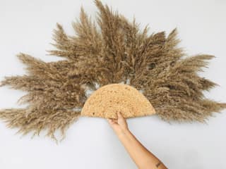 PAMPAS GRASS SUN Decor