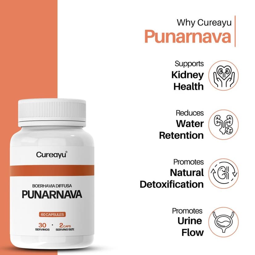 Cureayu Punarnava Capsules | Ayurvedic Support for Kidney Health, Detox & Fluid Balance view 2