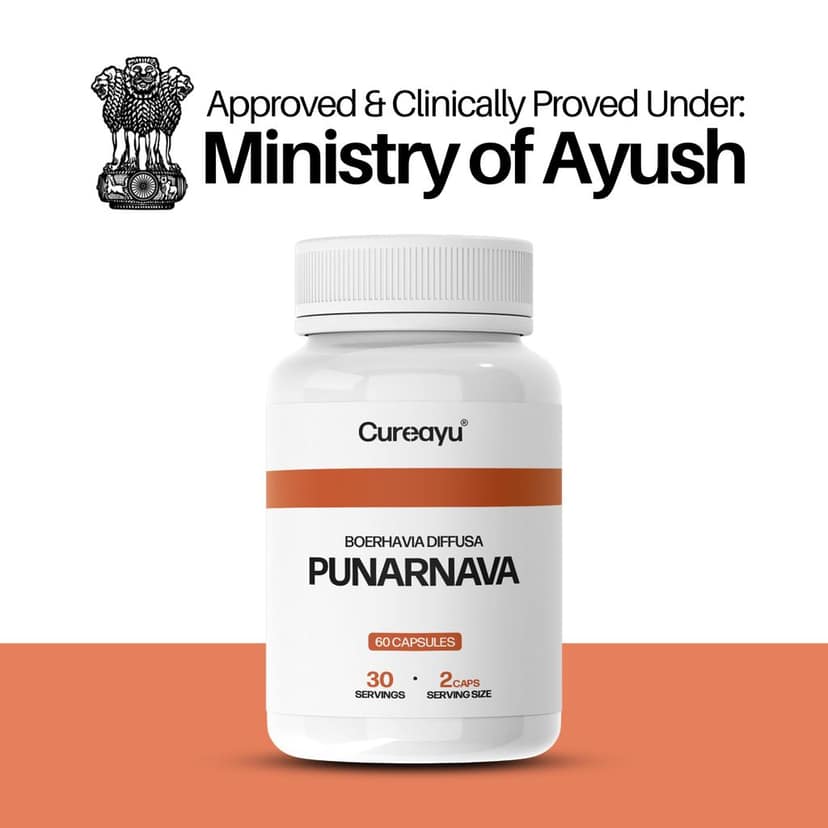 Cureayu Punarnava Capsules | Ayurvedic Support for Kidney Health, Detox & Fluid Balance view 3