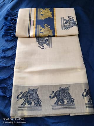 Elephant Print Tissue Saree