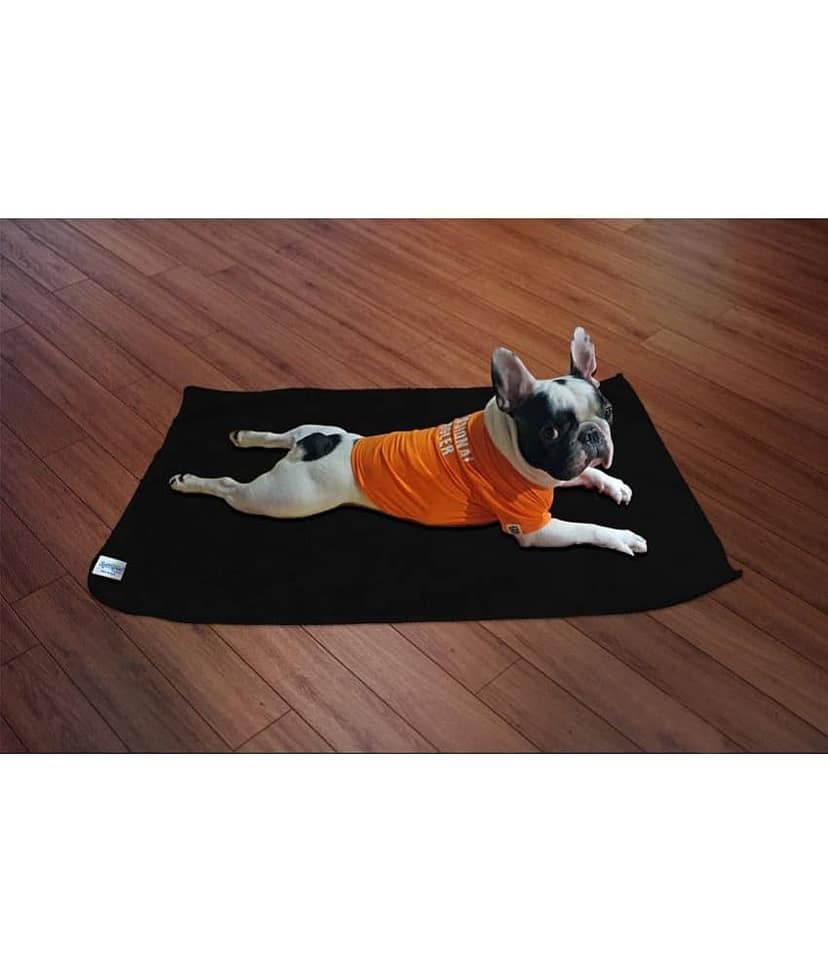SOFTSPUN Dog Wellness Accessories ( 1 L ) view 2