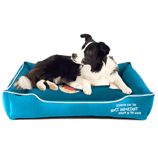 Captain Zack Dream Bedzz ML 29In X 33In X 10In Sky Blue