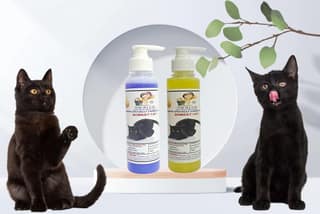 SWACCH Premium Shampoo for Bombay CAT (200ML) (Combo Pack of 2) Lavender & Lemon