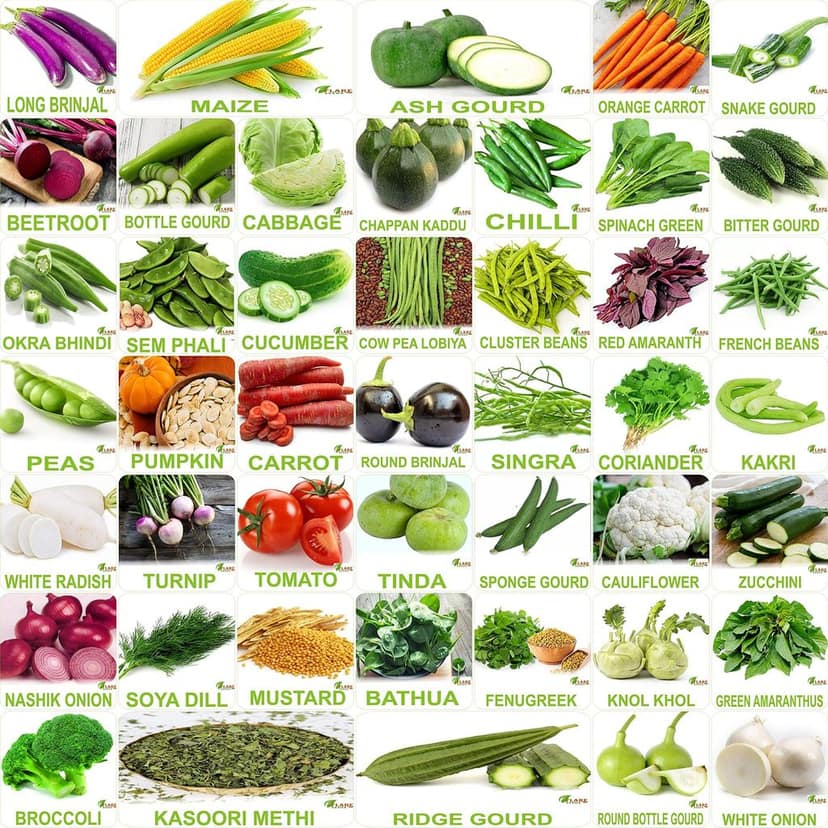 FLARE SEEDS No.1 Organic, Winter, Summer, Home Garden, Seeds Bank, Vegetable 45 Seeds Combo