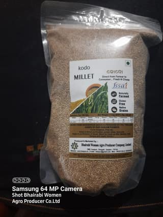 Kodo Millet Grains ( Unpolished grains )