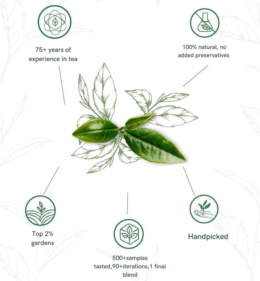 1950 Origins Combo Pack-Assam Symphony&Regal Harmony|100% Natural Loose Leaf Tea|Assorted Black Tea Gift Pack – Premium Assam & Long Leaf Darjeeling Tea|Rich,Strong & Fresh|Tin Caddy, 150 gm X 2 view 2
