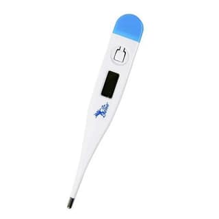 Digital Thermometer for Oral, Rectal, and Underarm Use