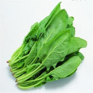 Palak Spinach 500 gms