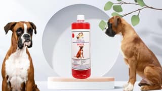 Swacch Shampoo Specially Formulated for Boxer (1 Litre) Strawberry