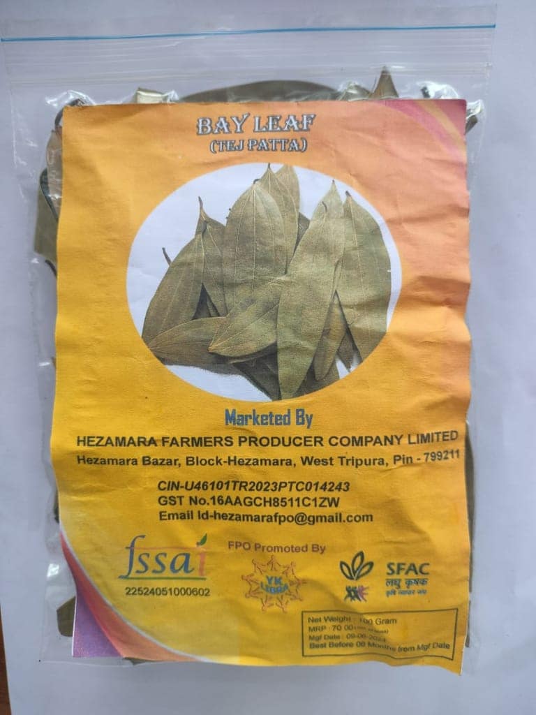 Bay Leaf ,Tej patta view 2