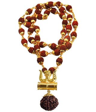CGED Rudraksha Pack of 1