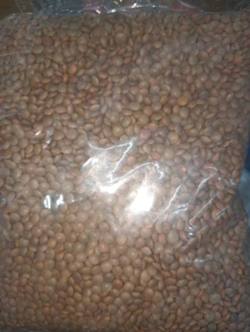 Kali masur daal
