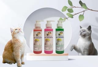 SWACCH Premium Shampoo for CAT Shampoo (200ML) (Combo Pack of 3) Jasmine, Rose & NEEM ALOVERA