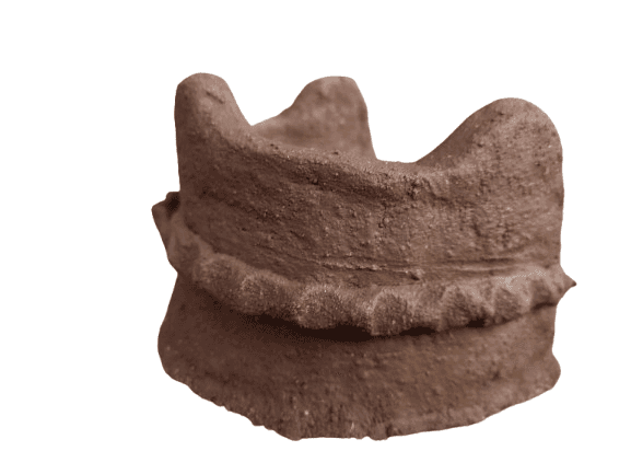 Handmade Clay Pot Planter view 2