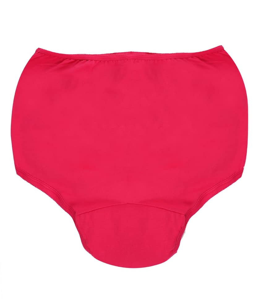 Wemyc Incontinence Underwear For Women I Washable & Reusable I Absorbs Medium Urine Leaks I Adult Diaper l Bedwetting Panty l Anti Bacterial, Hygienic & Leakproof view 2