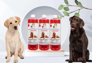 Swacch Shampoo Specially Formulated for Labrador (1 Litre) (Pack of 3) Strawberry