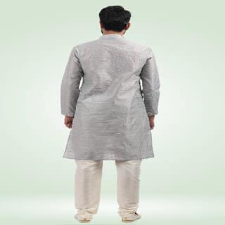 Raivat Ethnic Grey Colour Jacquard Banarasi Silk Pintux Work Kurta Pajama 1808 view 2
