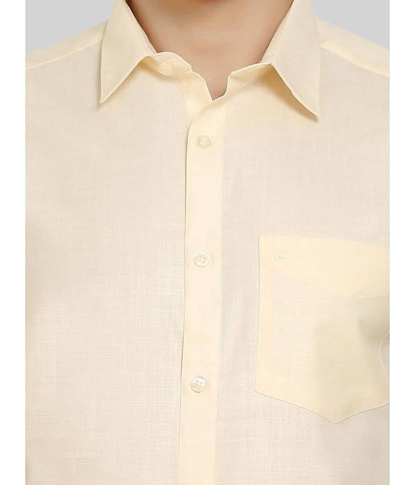 Makhanchor - Beige Cotton Regular Fit Men's Formal Shirt ( Pack of 1 ) view 2