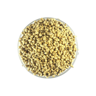 Sabut Dhaniya 250 Gms