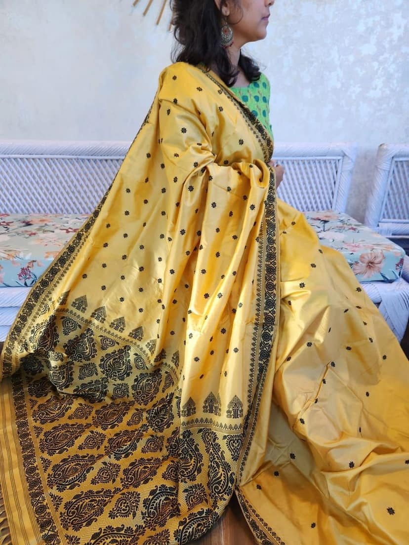 Mullberry Silk Saree view 2