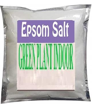 Epsom Salt for Plants in Garden