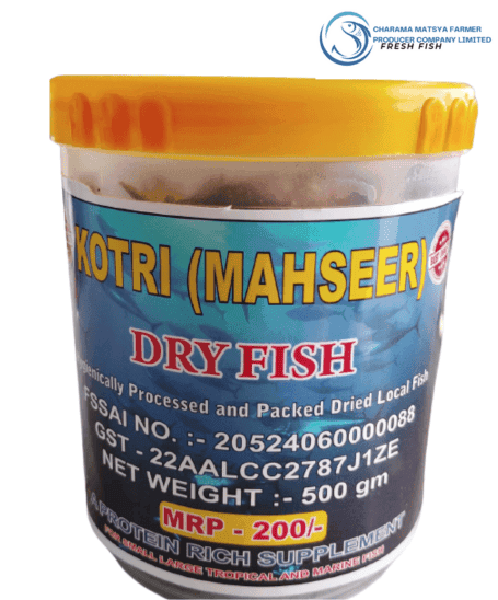 Dried Kotri Fish ( Mahseer) view 4