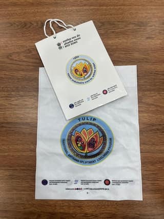 Tulip Traditional Artisans Upliftment Program Paper Bag and Folder Set, Government of India Initiative