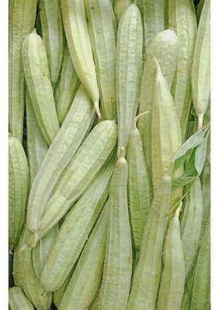 Ridge Gourd - 1 kg