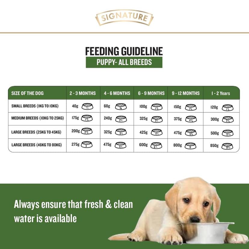 Grain Zero Real Chicken, Egg and Vegetables Puppy Dry Dog Food 1.2kg view 6