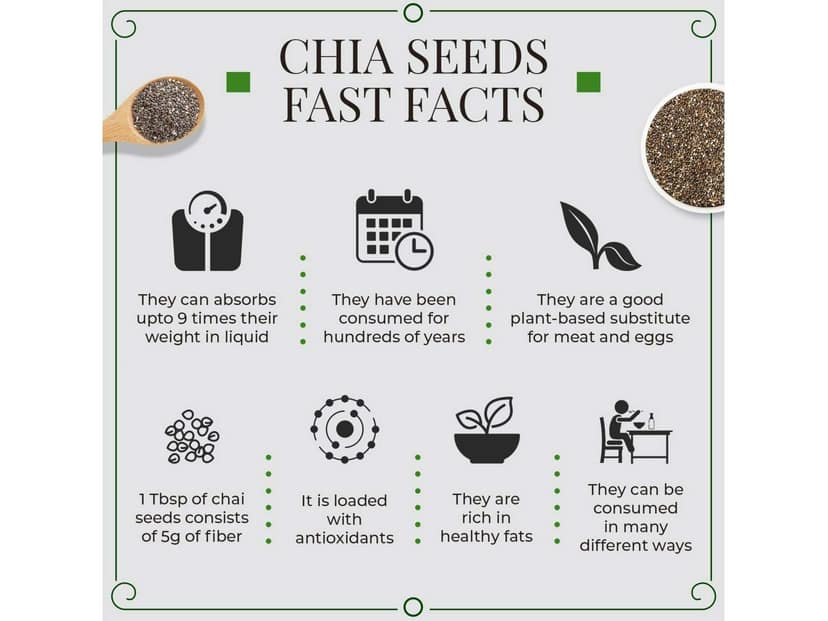 Raw Unroasted Chia Seeds for Eating with Omega 3 Protein and Fiber for Weight Loss Management - 500 Gram view 2