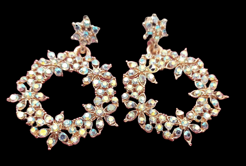 Lovely Rhinestone Circle Drop Earrings