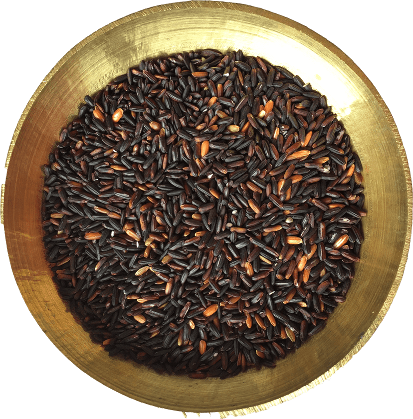 Black Rice | Chak Hao (5 Kg Pack) view 5